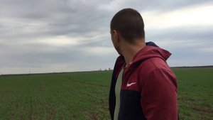 Состояние пшеницы после мороза -7