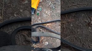 Замена ремня гидроусилителя Ford Fiesta