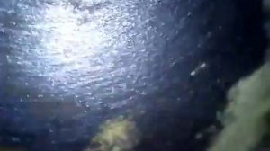 Эндоскопия поршневой группы до разкоксовки.mp4