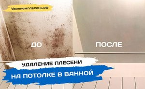Удаление плесени на потолке в ванной | Санкт-Петербург и Лен.обл