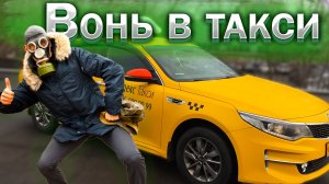 ЗАПАХИ в такси. Яндекс GO. Новости такси. Бородач