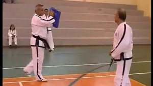 Taekwon-do ITF Reverse Turning Kick by Master V. Alexandris