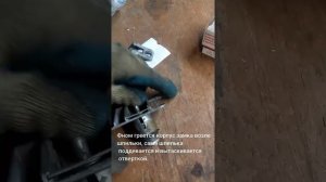 На оку личинки от ваз 2106