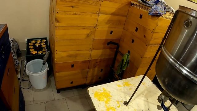 Пчеловодство как бизнес