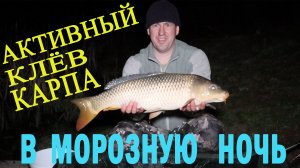 Активный КЛЁВ КАРПА в морозную ночь. Водоём РСК Камень.