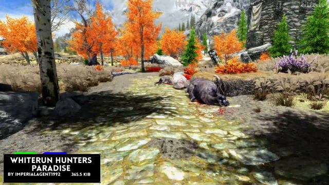 Skyrim Special Edition: 5 IMMERSIVE MODS 4 Killerkev