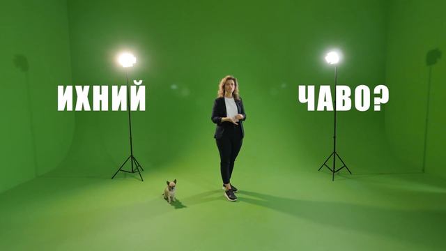 Как раскрутить канал на YouTube: Общение с аудиторией