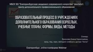 Образовательный процесс в учреждениях дополнительного образования взрослых