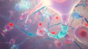 Ежовик Гребенчатый, Разгон NTZ для вашего мозга