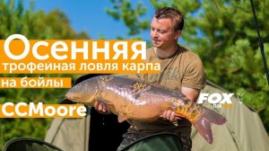Ловля крупного карпа на бойлы. Карпфишинг в сентябре