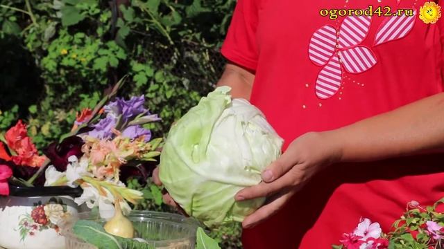 Капусту солим на сегодня и на зиму