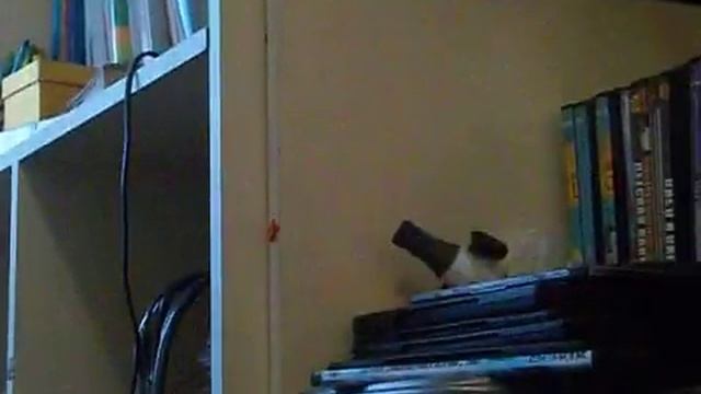 запаковка подарков родителям на новый год