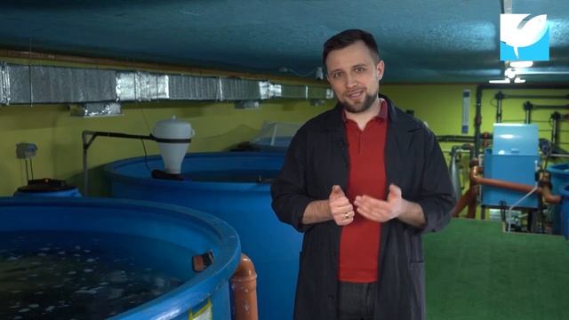 Виды рыб для разведения в УЗВ:  что необходимо знать для запуска рыбоводного бизнеса