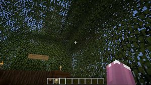 ШРЕК СТАЛ ЛУНТИКОМ В РЕАЛЬНОЙ ЖИЗНИ В МАЙНКРАФТ ТРОЛЛИНГ MINECRAFT НУБИК