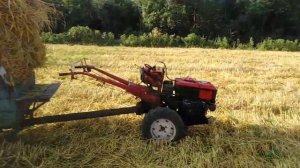 Сенокос самодельным минитрактором . Возим сено)
