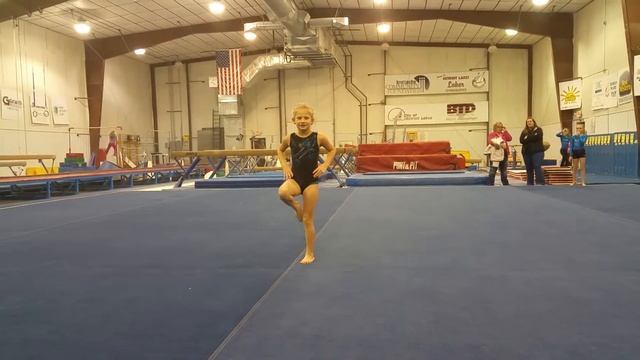 Paige Gymnastics Meet - Floor 1-3-15 смотреть онлайн