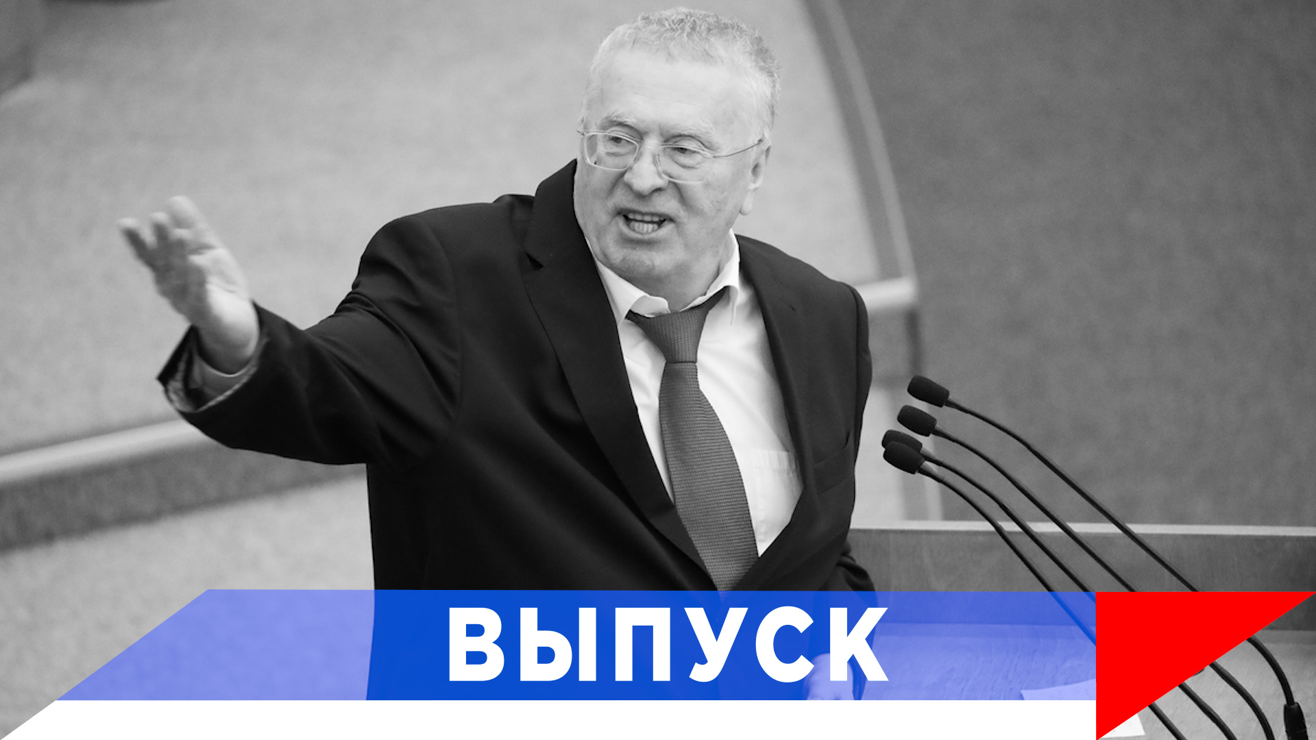 Жириновский депутаты государственной думы российской федерации