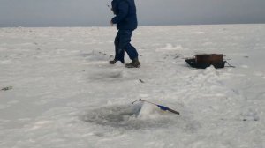 Рыбалка Финский Залив 11.03.2018