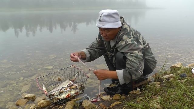 Ловим рыбу и готовим уху! смотреть онлайн
