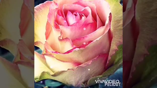 Для тебя одной.Одна на миллион.🌹❤️🌹❤️ смотреть онлайн