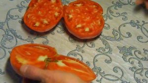 Томат Хейс. Тест спелых плодов.