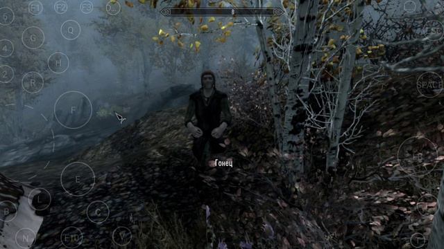 SKYRIM на Android - средне-высокие настройки, Virgl, Grass Mod - Exagear - Snapdragon 870