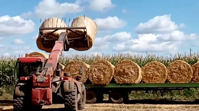 Разгрузка и укладка рулонов соломы телескопическим погрузчикком Manitou 731 turbo