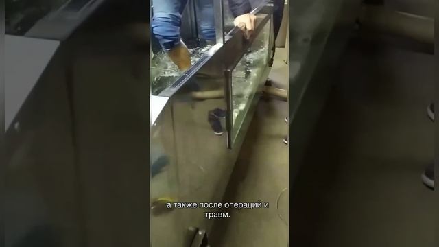 Водная беговая дорожка wikiRUN для собак