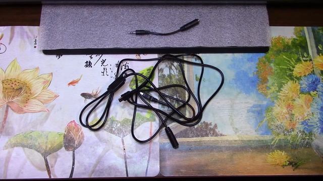 Кабель с поддержкой внешнего микрофона и зарядки GitUp Git2, GoPro смотреть онлайн