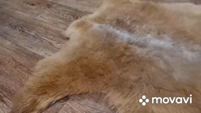 ШКУРА ОВЕЧЬЯ НЕБОЛЬШОГО РАЗМЕРА РЫЖЕ-КАРАМЕЛЬНАЯ (КОД: 4398 )