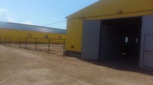 Строим коровник цена под ключ