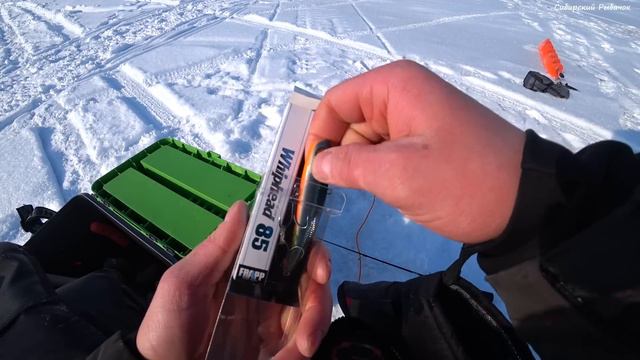 СУДАК ХВАТАЛ НА ВСЁ И У ВСЕХ! РЫБАЛКА НА СУДАКА С ТОЛПОЙ в низовьях водохранилища. Рыбалка в марте