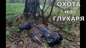 Удачная охота на глухаря 2024. Подошел на 15 метров! Выстрел в кадре!