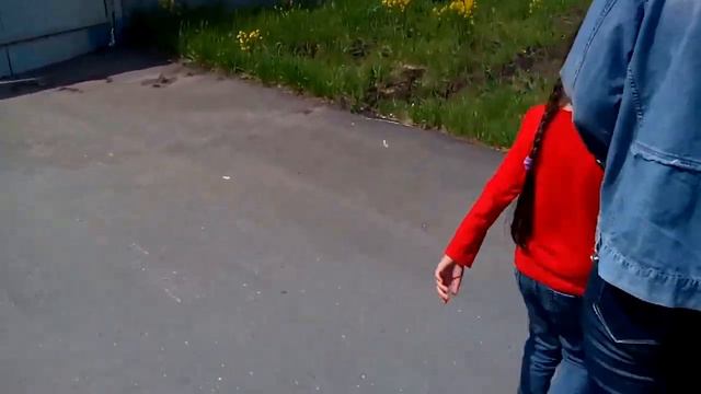 медведи смотреть онлайн