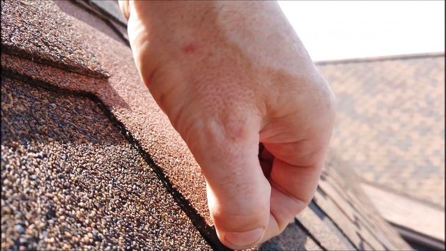 Как выбрать битумную черепицу Технониколь или RoofShield