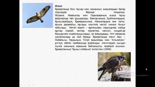 Урок 20 - ҚР-ның Қызыл Кітабына енген күдізгі жəне түнгі жыртқыш құстар. смотреть онлайн