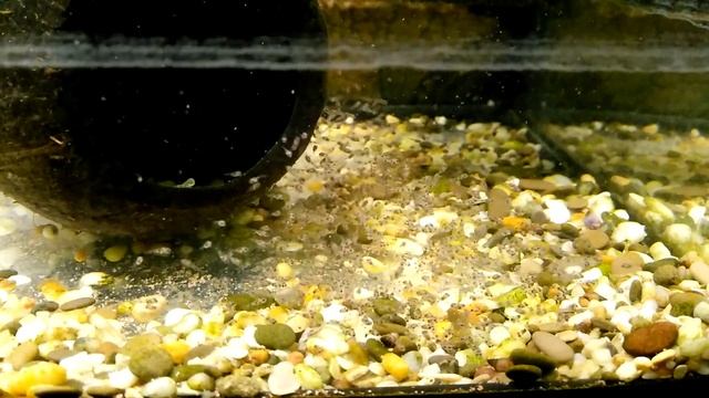 Наннакара электрик блю смотреть онлайн