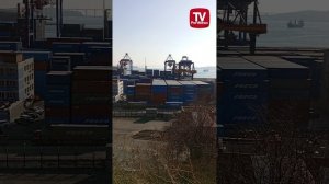 #shorts Центр притяжения контейнеров - порт Владивосток