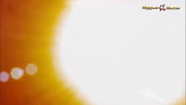 Мудрые мысли: Цитаты о людях и человечности