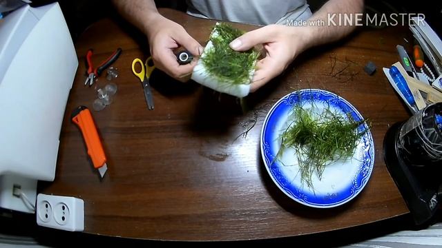 Стенка из мха в аквариуме на паралоне / Moss