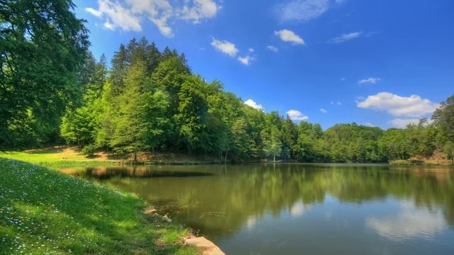 Истории из жизни.Обиженный сожитель. Аудио рассказы. Интересные истории. смотреть онлайн