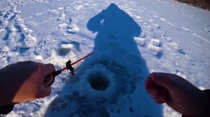 ЭТА ПРИМАНКА РЕАЛЬНО РАБОТАЕТ!!! СОРОГА (ПЛОТВА) ПО ПЕРВОМУ ЛЬДУ!!!