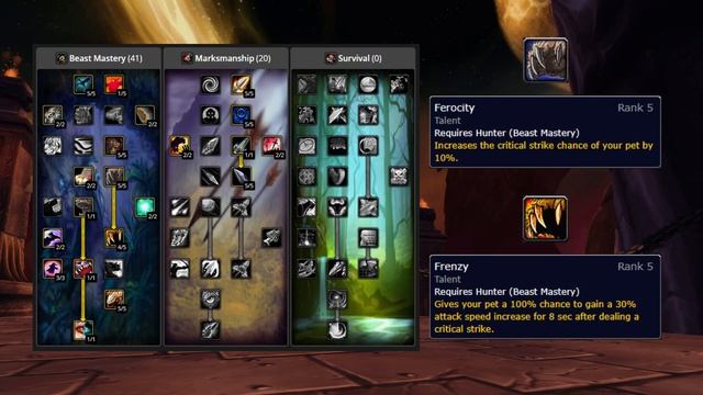 WoW TBC Classic: BM Hunter PVE Guide (Phase 1) смотреть онлайн