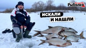 ИЗБЕГАЛИ ВЕСЬ ВОДОЁМ,А рыба была рядом с парковкой.Ловля в глухозимье мирной рыбы на мормышку.