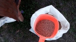 ОБЗОР ЗЕРНОДРОБИЛКИ ЗУБР