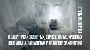 О защитниках животных, стрессе, карме, крёстных, душе Ленина, расчленении и важности захоронения