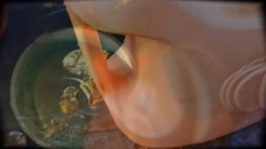 Растворение бордоской жидкости.Когда и для чего применять?Медный купорос.