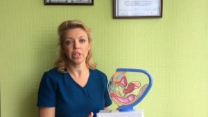 Женская репродуктивная система