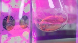 Получение биотоплива. Программа "Наука" #18