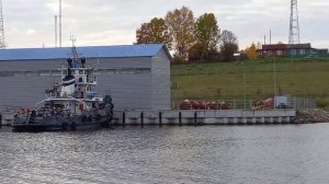 Иванов Бор.Вологодская область.Река Шексна.